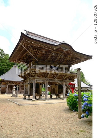 アジサイが満開 音羽山 清水寺 129607926