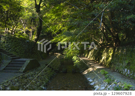 暁嵐公園河川 暁嵐公園河川 129607928