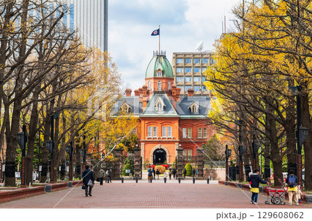 秋の札幌　北海道庁赤れんが庁舎 129608062