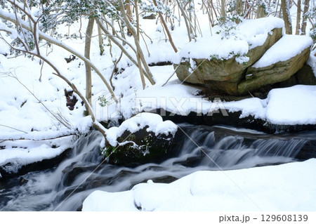 雪積もる冬のるり渓 雪積もる冬のるり渓 129608139