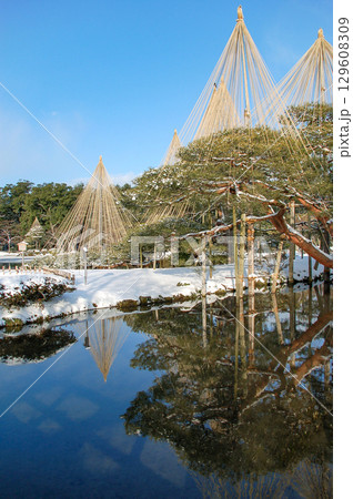 青空の下に広がる兼六園の雪景色、霞ヶ池に映り込む美しい雪吊りと冬の庭園 青空の下に広がる兼六園の雪景色、霞ヶ池に映り込む美しい雪吊りと冬の庭園 129608309
