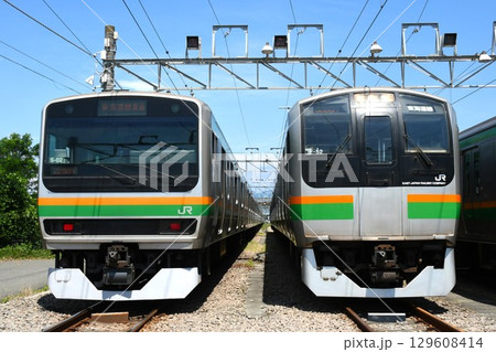 車両基地で並ぶE231系（東海道線直通表示）とE217系（東海道線表示） 129608414
