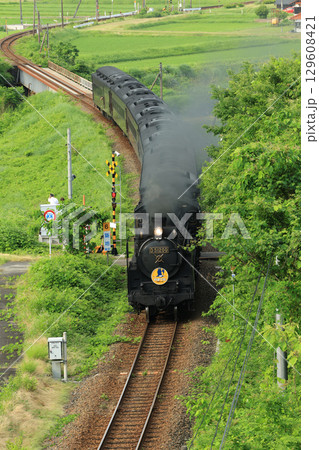 SLやまぐち号 D51 1833 SLやまぐち号 D51 1833 129608421