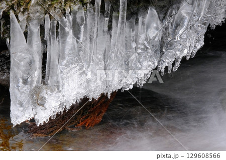 るり渓双龍淵の滝口の氷柱 るり渓双龍淵の滝口の氷柱 129608566