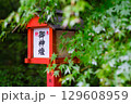 青もみじと御神燈　灯籠 129608959