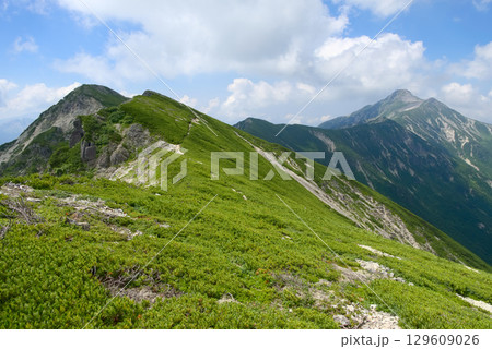 北アルプス、秩父岩付近の稜線から望む抜戸岳と笠ヶ岳 129609026