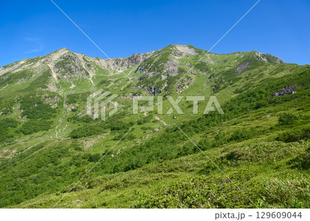 北アルプスの杓子平から望む抜戸岳 129609044