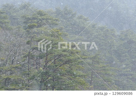 冬のるり渓の通天湖 129609086