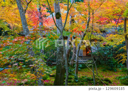 紅葉に包まれた祇王寺 紅葉に包まれた祇王寺 129609185