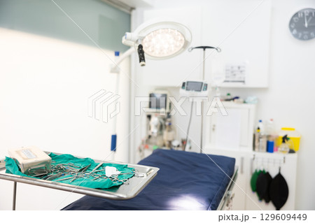 Surgical room in veterinary hospital equipped with apparatus and equipped with necessary tools 129609449