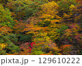 福島の紅葉 129610222