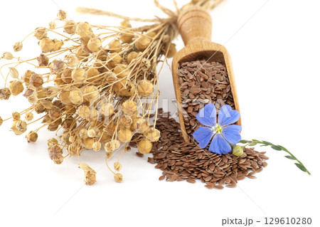 A beautiful arrangement featuring flax seeds, blue flower, and dried plants. 129610280