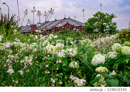 咲き乱れる花々と赤レンガ倉庫が見える風景 咲き乱れる花々と赤レンガ倉庫が見える風景 129610340