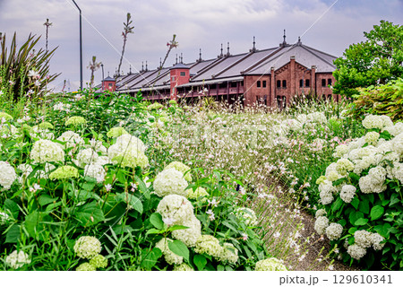 咲き乱れる花々と赤レンガ倉庫が見える風景 129610341