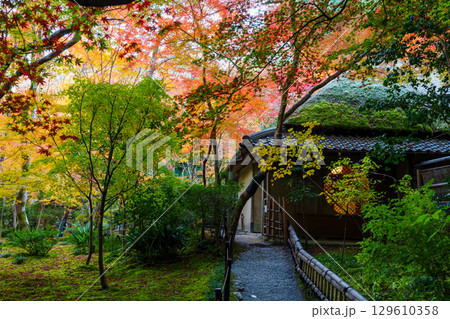 紅葉に包まれた祇王寺 129610358