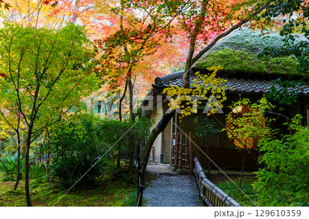 紅葉に包まれた祇王寺 129610359