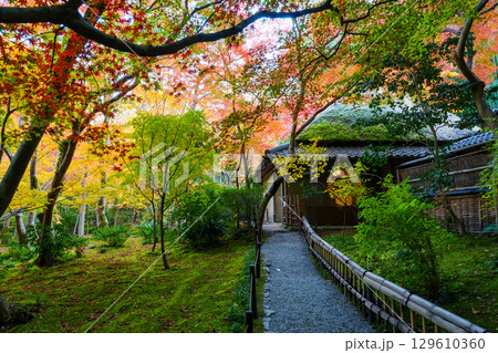 紅葉に包まれた祇王寺 129610360