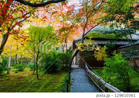 紅葉に包まれた祇王寺 129610361