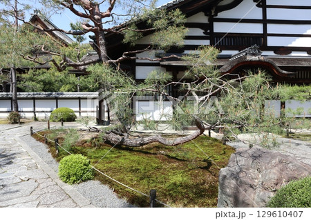 歴史あふれる京都南禅寺の初夏の風景 歴史あふれる京都南禅寺の初夏の風景 129610407