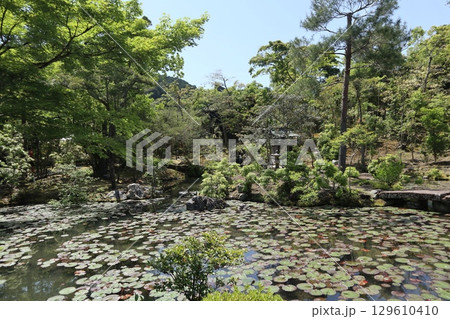 歴史あふれる京都南禅寺の初夏の風景 129610410
