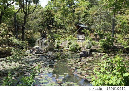 歴史あふれる京都南禅寺の初夏の風景 歴史あふれる京都南禅寺の初夏の風景 129610412