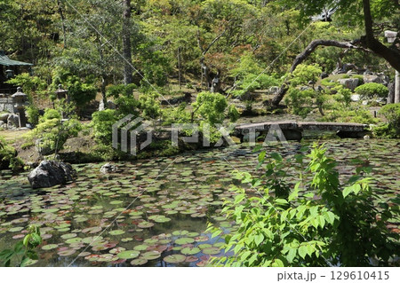 歴史あふれる京都南禅寺の初夏の風景 歴史あふれる京都南禅寺の初夏の風景 129610415