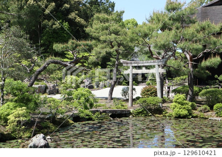 歴史あふれる京都南禅寺の初夏の風景 歴史あふれる京都南禅寺の初夏の風景 129610421