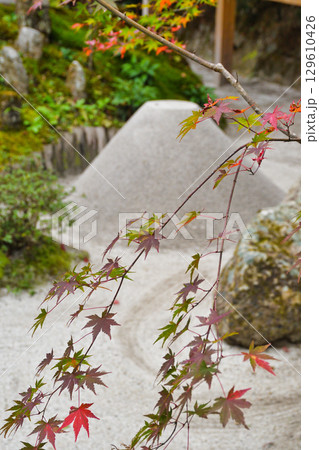 大原　宝泉院　宝楽園と美しい紅葉（京都府京都市左京区）　 129610426