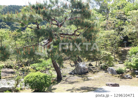 歴史あふれる京都南禅寺の初夏の風景 129610471