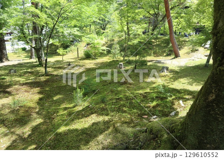 歴史あふれる京都南禅寺の初夏の風景 歴史あふれる京都南禅寺の初夏の風景 129610552