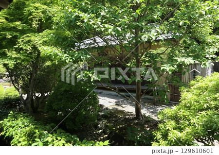 歴史あふれる京都南禅寺の初夏の風景 歴史あふれる京都南禅寺の初夏の風景 129610601