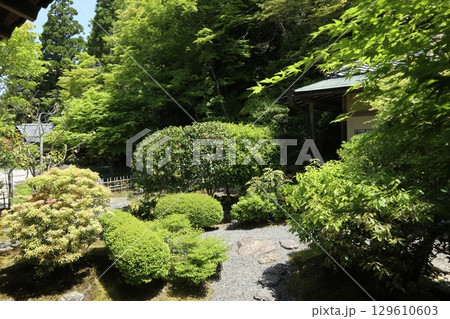 歴史あふれる京都南禅寺の初夏の風景 129610603