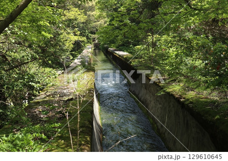 歴史あふれる京都南禅寺の初夏の風景 129610645