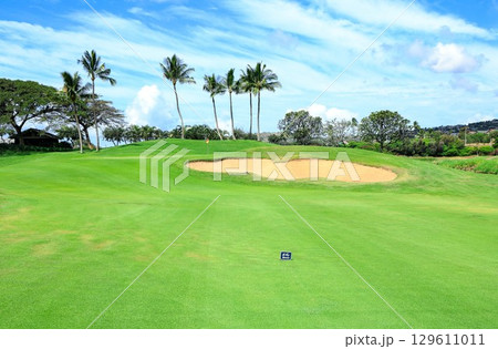ハワイ(オアフ島)の休日(ゴルフライフ)カポレイ ハワイ(オアフ島)の休日(ゴルフライフ)カポレイ 129611011