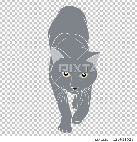 灰色猫 灰色猫 129611025