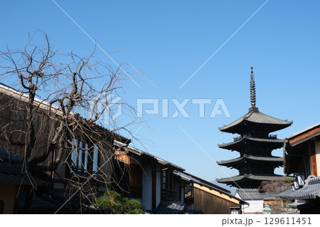 冬晴れの八坂の塔 冬晴れの八坂の塔 129611451