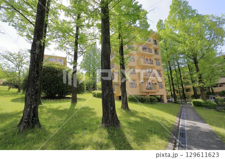 UR千里青山台団地　初夏 129611623