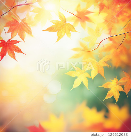 綺麗に色づく紅葉の秋 129612088