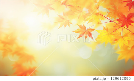 綺麗に色づく紅葉の秋 129612090