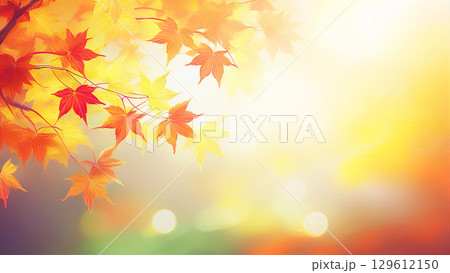 綺麗に色づく紅葉の秋 129612150