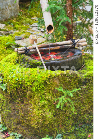 大原　宝泉院　宝楽園の美しい手水鉢（京都府京都市左京区）　 129612270