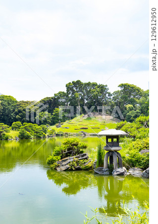 初夏の清澄庭園 石灯籠 初夏の清澄庭園 石灯籠 129612950