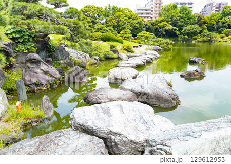 初夏の清澄庭園 129612953