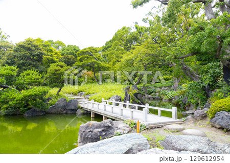 初夏の清澄庭園 129612954