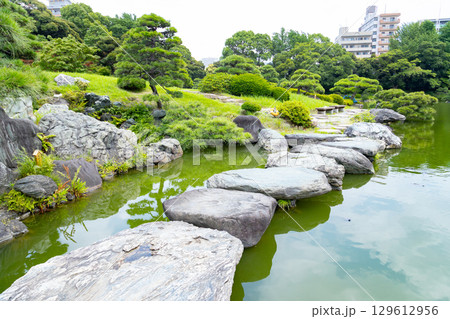 初夏の清澄庭園 129612956