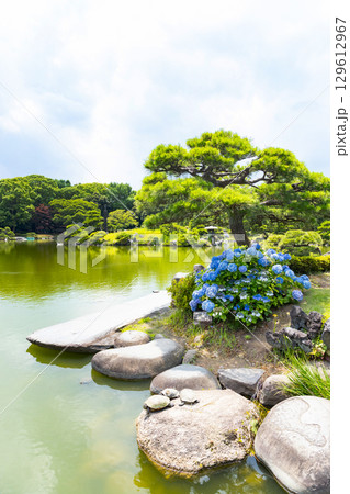初夏の清澄庭園　磯渡りと石橋 129612967