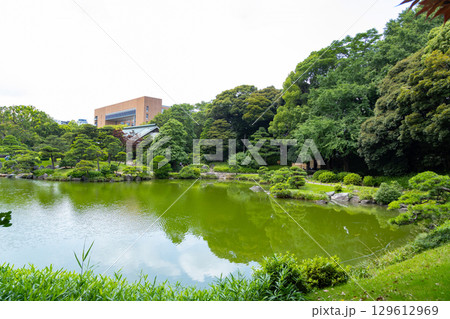 初夏の清澄庭園 初夏の清澄庭園 129612969