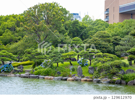 初夏の清澄庭園 129612970