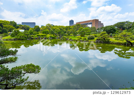 初夏の清澄庭園 129612973