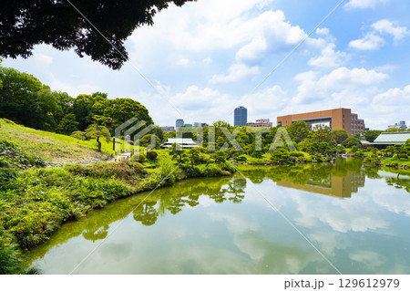 初夏の清澄庭園 初夏の清澄庭園 129612979